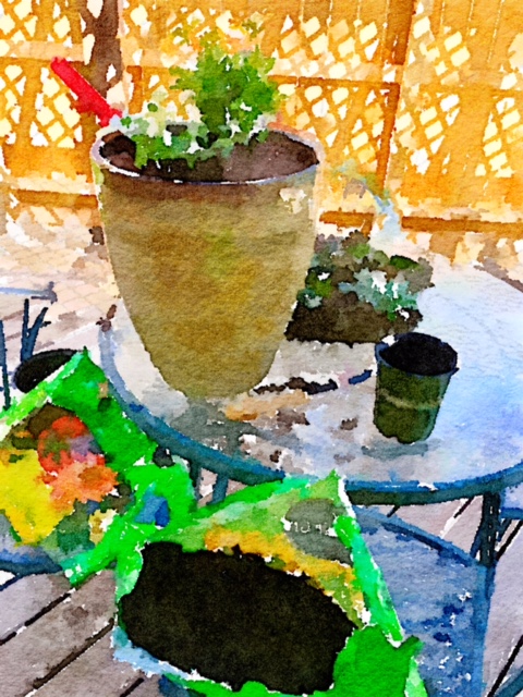 Painted in Waterlogue